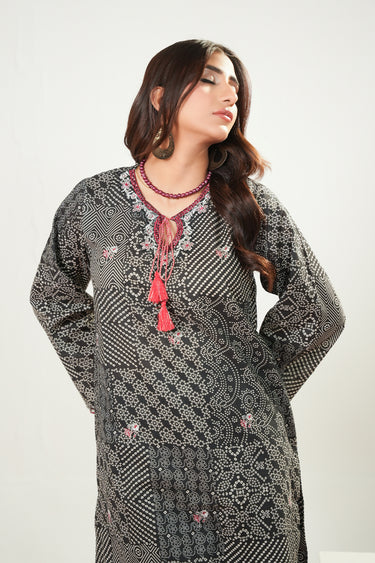 2 Piece - Embroidered Lawn Suit