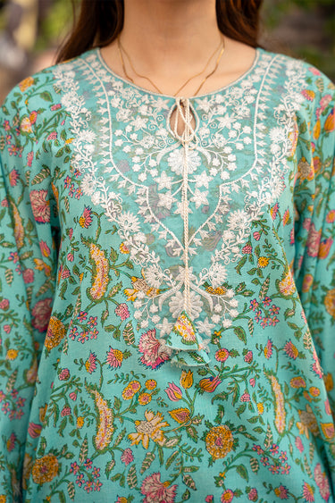 2 Piece - Embroidered Lawn Suit