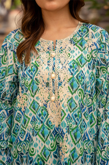 2 Piece - Embroidered Lawn Suit