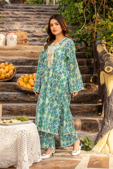 2 Piece - Embroidered Lawn Suit