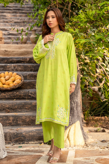 2 Piece - Embroidered Jacquard  Suit