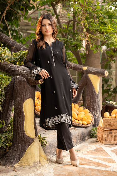 2 Piece - Embroidered Chiffon Suit