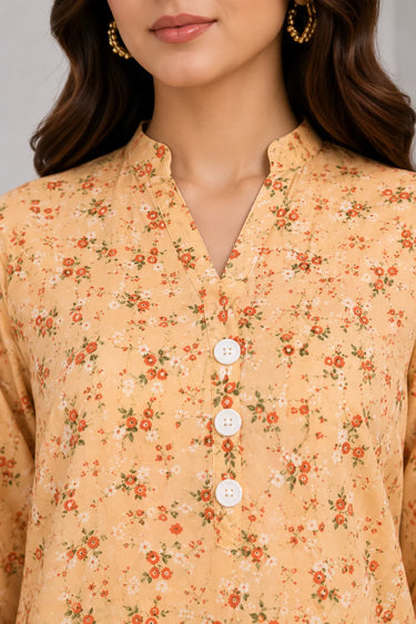 2 Piece - Printed Lawn Suit