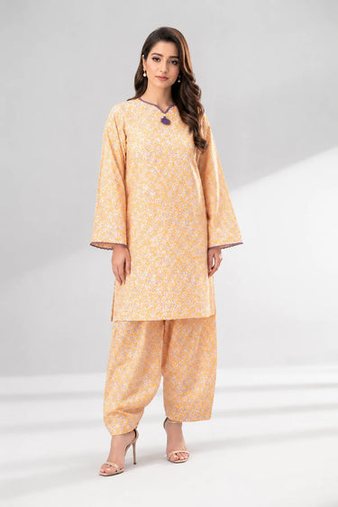 2 Piece - Printed Lawn Suit