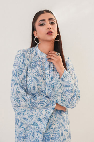 2 Piece - Printed Lawn Suit