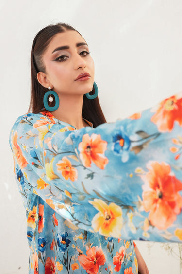 2 Piece - Printed Lawn Suit