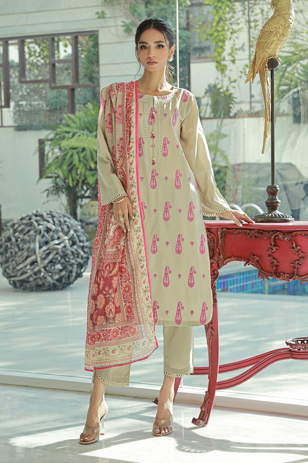 3 Pc Cambric Dyed Embroidered Stitched Suit