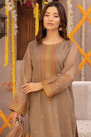3 Piece - Embroidered Zari Net Suit