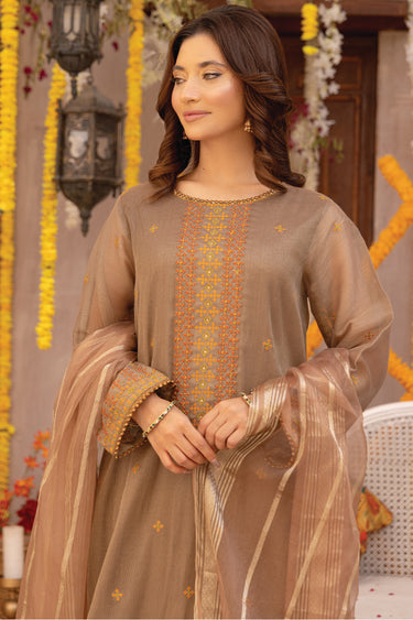 3 Piece - Embroidered Zari Net Suit
