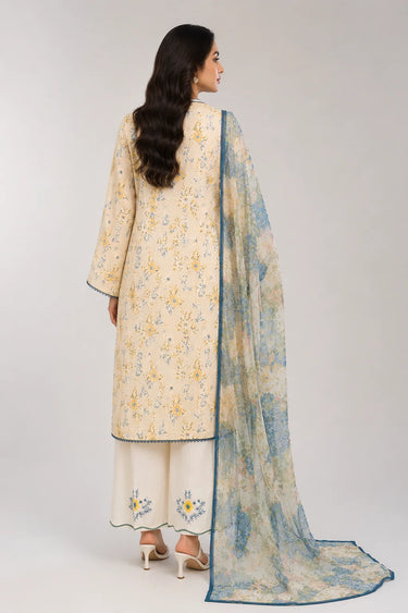 3 Piece - Embroidered Chikankari Suit