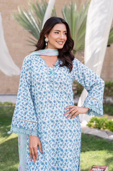 3 Piece - Embroidered Printkari Suit