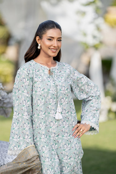 3 Piece - Embroidered Printkari Suit