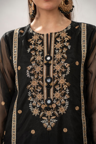 3 Piece - Embroidered Organza Suit