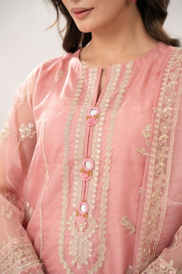 3 Piece - Embroidered Organza Suit
