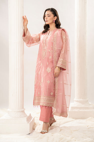 3 Piece - Embroidered Organza Suit