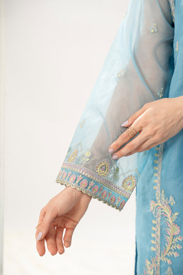 3 Piece - Embroidered Organza Suit