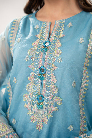 3 Piece - Embroidered Organza Suit