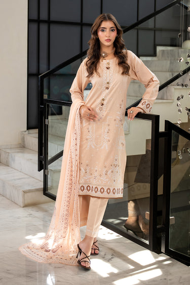3 Piece - Dyed Embroidered Cambric Suit
