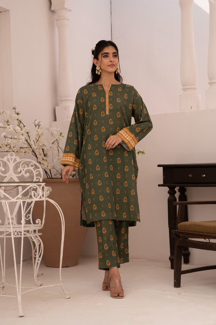 2 Pc Stiched Khaddar Printed Suit - Prime Point Store