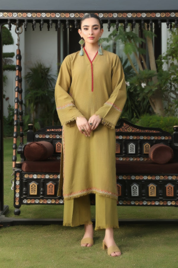2 Pc Embroidered Slub Khaddar Stitched Suit - Prime Point Store