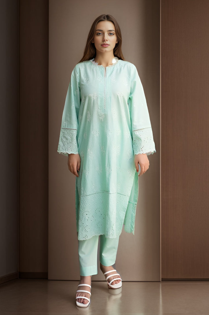 2 Pc Chikankari Stitched Suit - Prime Point Store