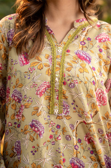 2 Piece - Printed Lawn Suit