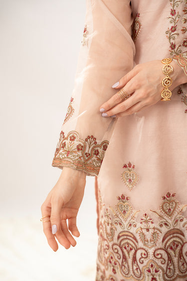 3 Piece - Embroidered Organza Suit