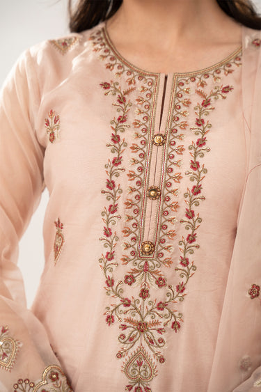 3 Piece - Embroidered Organza Suit