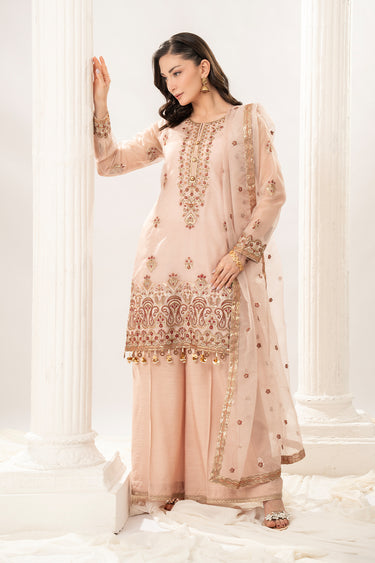 3 Piece - Embroidered Organza Suit